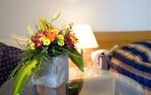 Туры в отель Holiday Inn Budapest-Budaors