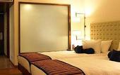 Туры в отель Four Points by Sheraton Ahmedabad