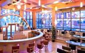 Туры в отель Clarks Exotica Airport Hotel