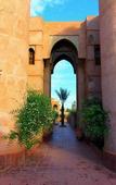 Туры в отель Riad La Maison des Oliviers