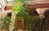 Туры в отель Riad Al Ksar & Spa
