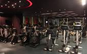 Туры в отель Royal Thalassa Monastir