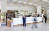 Туры в отель Domus Pacis Assisi