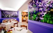 Туры в отель Domus Pacis Assisi