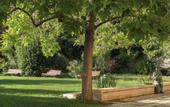 Туры в отель Domus Pacis Assisi