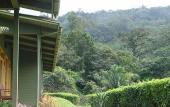 Туры в отель Cloud Forest Lodge