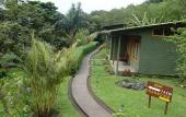 Туры в отель Cloud Forest Lodge
