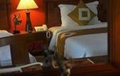 Туры в отель Royal Bay Inn Angkor Resort (ex. Day Inn Angkor Resort)