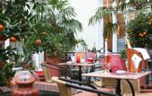 Туры в отель Hotel California