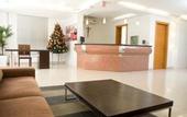 Туры в отель Luisa Palace Hotel
