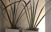 Туры в отель Tailor Made Hotel