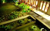 Туры в отель Belum Rainforest Resort