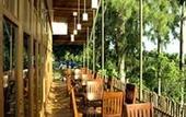 Туры в отель Belum Rainforest Resort