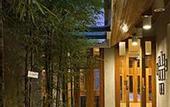 Туры в отель Belum Rainforest Resort