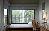 Туры в отель Belum Rainforest Resort