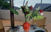 Туры в отель Villa Tanamera Resort