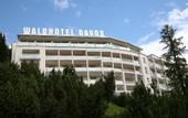 Туры в отель Waldhotel Davos