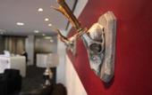 Туры в отель Soleo Hotel am Park