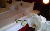 Туры в отель Alecsa Hotel am Olympiastadion Berlin