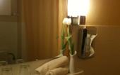 Туры в отель Alecsa Hotel am Olympiastadion Berlin