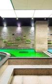 Туры в отель Ibis Ambassador Seoul Gangnam