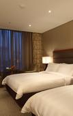 Туры в отель Lotte City Mapo