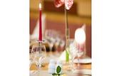 Туры в отель Novotel Hotel Hamburg City Alster