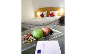 Туры в отель Novotel Hotel Hamburg City Alster