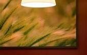 Туры в отель Welcome Hotel Paderborn