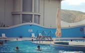 Туры в отель Asya Termal Kizilcahamam Hotel