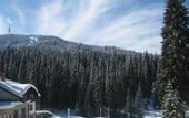 Туры в отель The Stream Resort