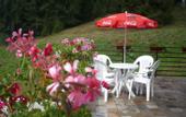 Туры в отель The Stream Resort
