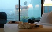 Туры в отель DoubleTree by Hilton Lisbon - Fontana Park