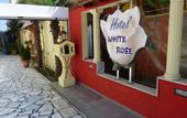 Туры в отель White Rose Hotel
