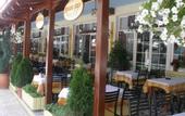Туры в отель White Rose Hotel