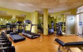 Туры в отель Sheraton Offenbach Hotel