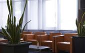 Туры в отель InterCityHotel Freiburg