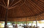Туры в отель The Tropical Hideaway