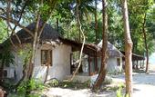 Туры в отель The Tropical Hideaway