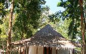 Туры в отель The Tropical Hideaway