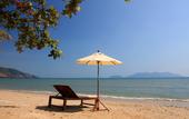 Туры в отель The Tropical Hideaway