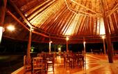 Туры в отель The Tropical Hideaway