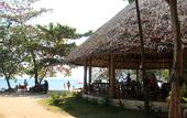 Туры в отель The Tropical Hideaway