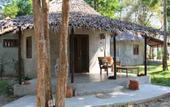 Туры в отель The Tropical Hideaway