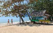 Туры в отель The Tropical Hideaway