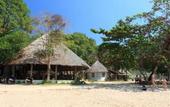 Туры в отель The Tropical Hideaway