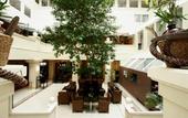 Туры в отель Crowne Plaza Hotel