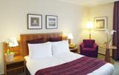 Туры в отель Crowne Plaza Hotel