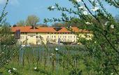 Туры в отель Steigenberger Hotel Deidesheim