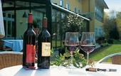 Туры в отель Steigenberger Hotel Deidesheim